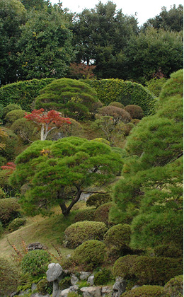 能仁寺イメージ